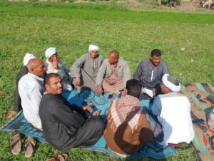 Inceptaeg 21 300x226